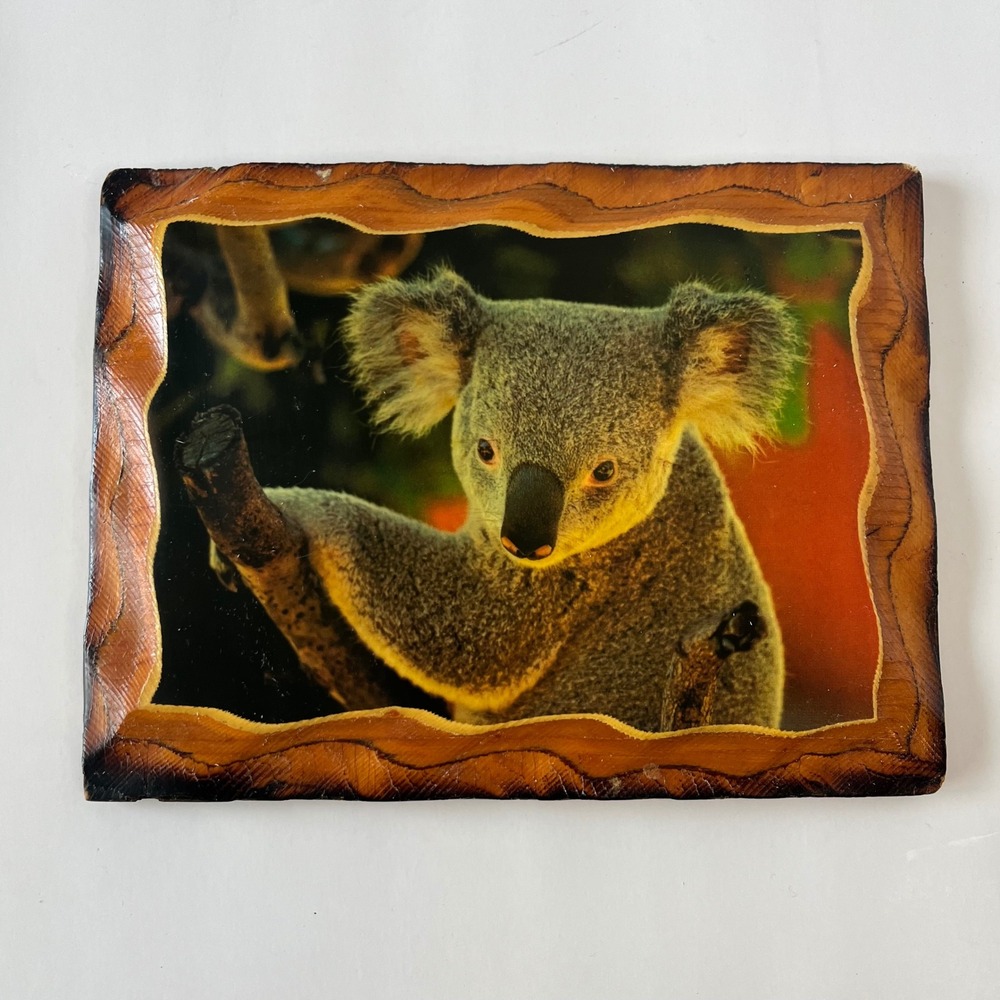 Vintage Koala Bear Wood Plaque Wall Decor Rustic Burnt Edge Photo Art 8x6